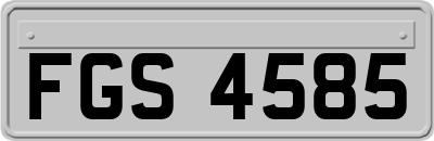 FGS4585