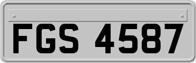 FGS4587