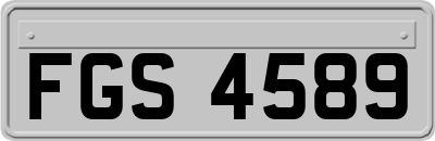 FGS4589
