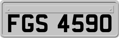 FGS4590