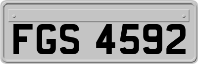 FGS4592