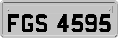 FGS4595