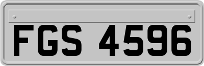 FGS4596