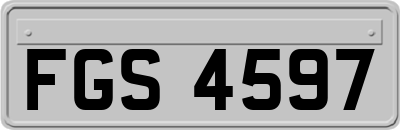 FGS4597