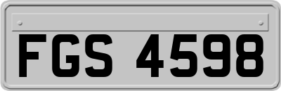 FGS4598