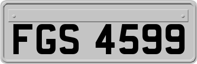 FGS4599