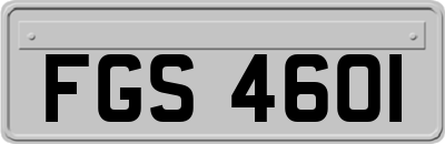 FGS4601