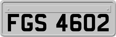 FGS4602