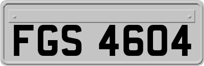 FGS4604