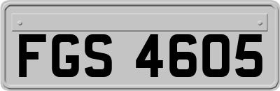 FGS4605