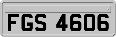 FGS4606