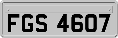 FGS4607