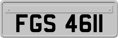 FGS4611
