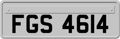 FGS4614