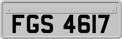 FGS4617