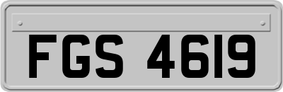 FGS4619