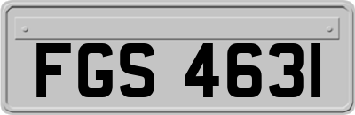 FGS4631