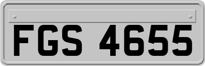 FGS4655