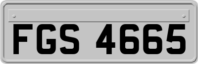 FGS4665