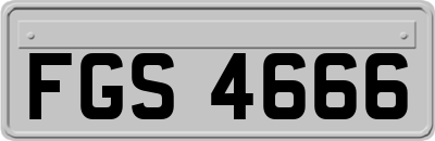 FGS4666