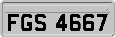 FGS4667