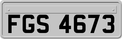 FGS4673