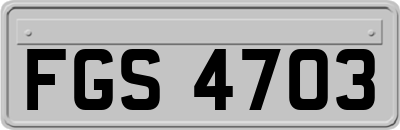 FGS4703