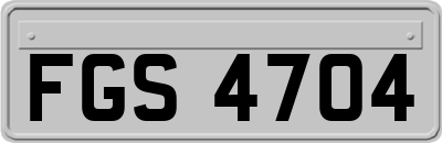 FGS4704