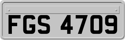 FGS4709