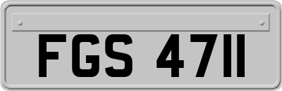 FGS4711