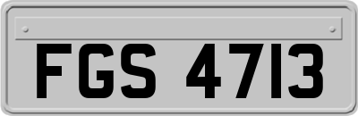 FGS4713