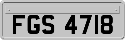 FGS4718