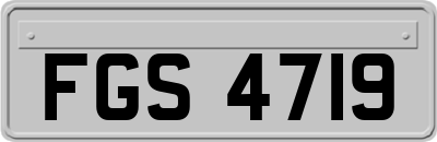 FGS4719