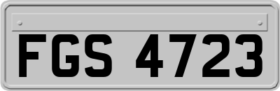 FGS4723