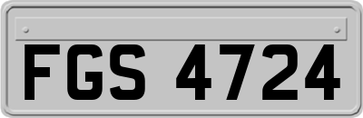 FGS4724