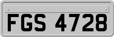 FGS4728