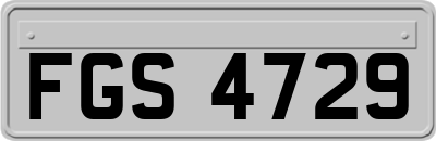 FGS4729