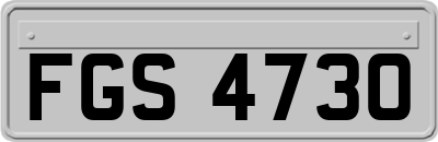 FGS4730