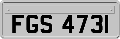 FGS4731
