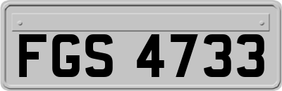 FGS4733