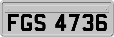 FGS4736