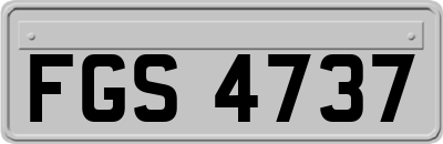 FGS4737