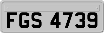 FGS4739