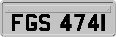 FGS4741
