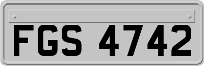 FGS4742