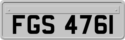 FGS4761