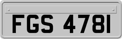 FGS4781