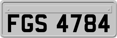 FGS4784