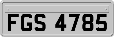 FGS4785