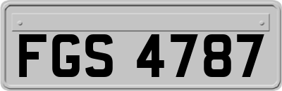 FGS4787
